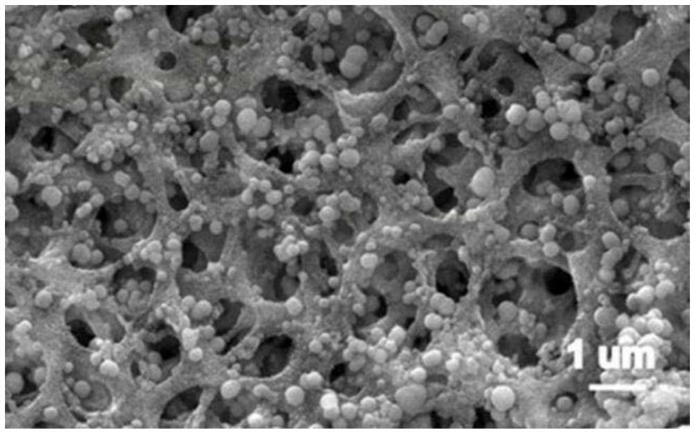 A kind of emodin molecularly imprinted silica nanoparticle composite film and its preparation method and application