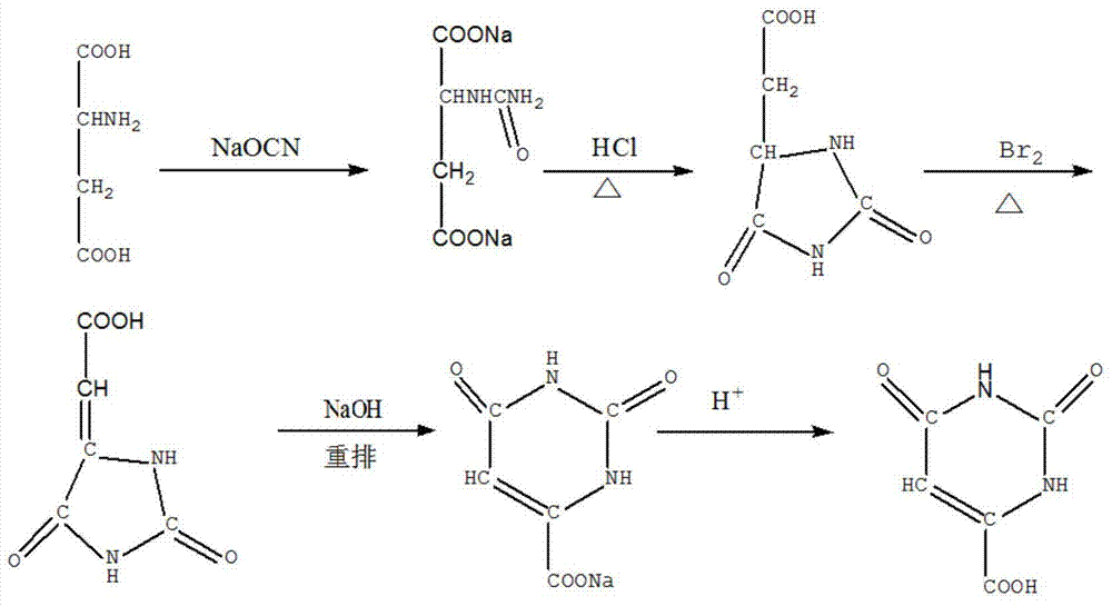 Preparation method for orotic acid