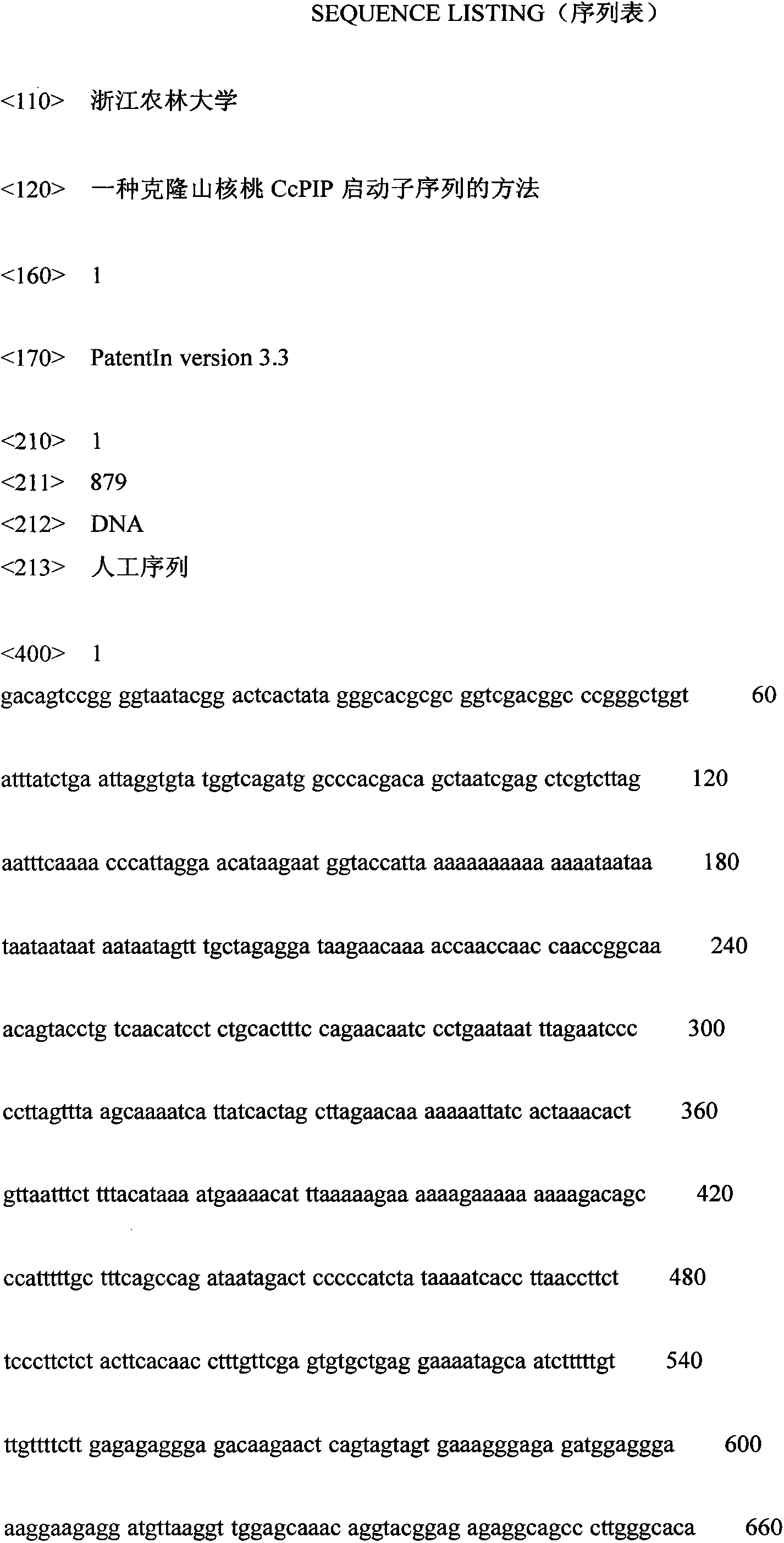 Method for cloning promoter sequence of CcPIP in hickory