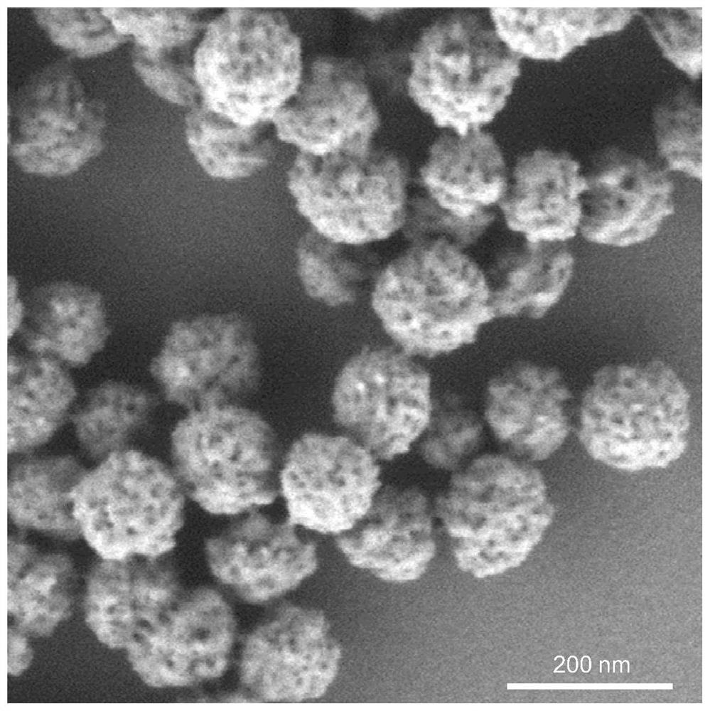 Mesoporous calcium carbonate nanoparticles, preparation method thereof and composite material