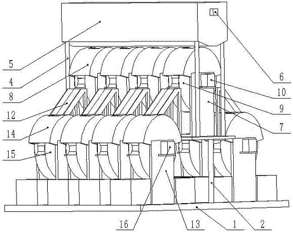 Sorting equipment for processing of oyster marine products