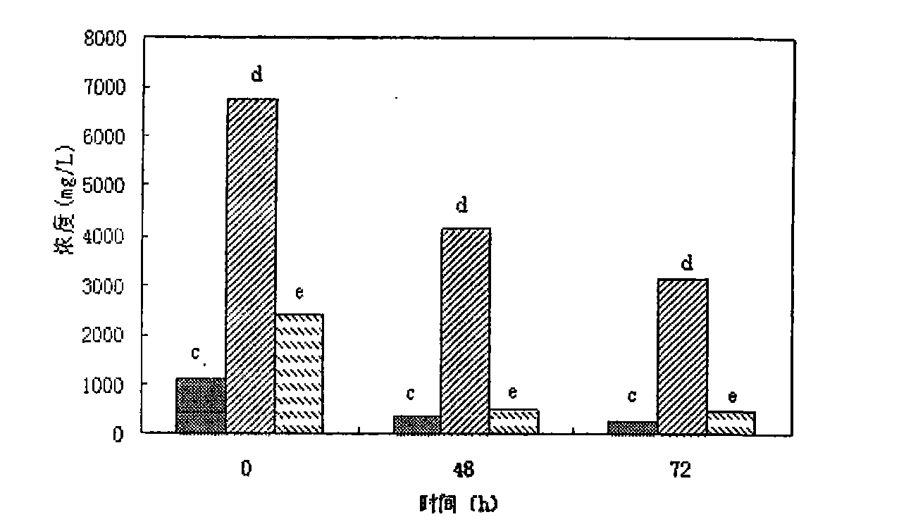 Microbial compound inoculum for production of cellulosic ethanol and preparation method thereof