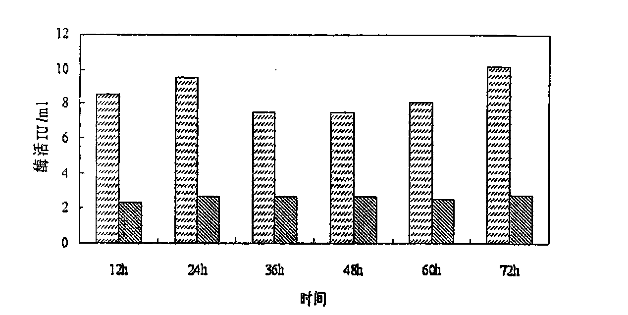 Microbial compound inoculum for production of cellulosic ethanol and preparation method thereof