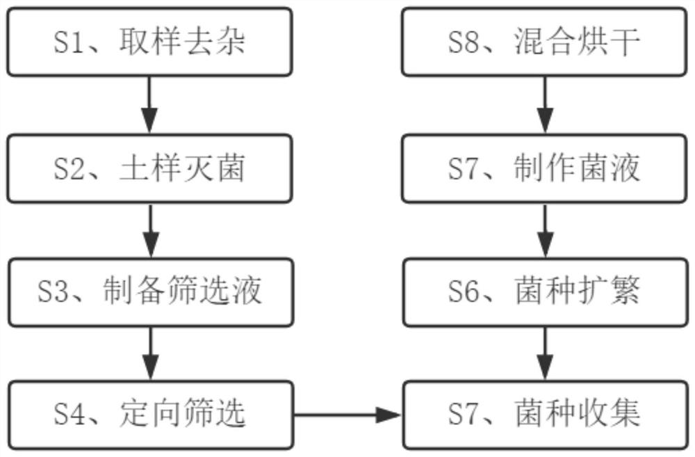 Preparation method of microbial agent for soil acidification area