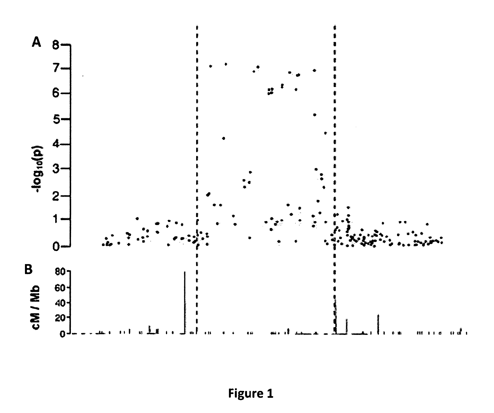 Asthma Susceptibility Loci Located at Chromosome 1q31 for Use in Diagnostic and Therapeutic Methods