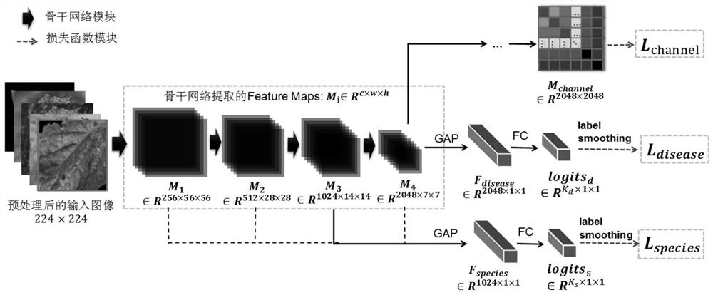 An automatic identification method of crop diseases and insect pests adapted to the field