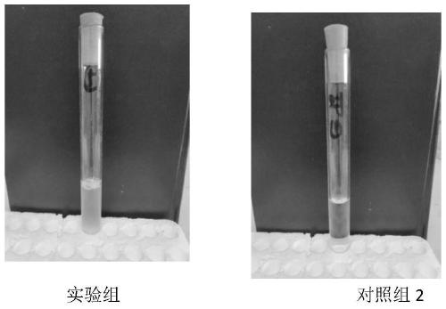 Enterococcus azikeevi EO-07 and application thereof in ethylene oxide degradation