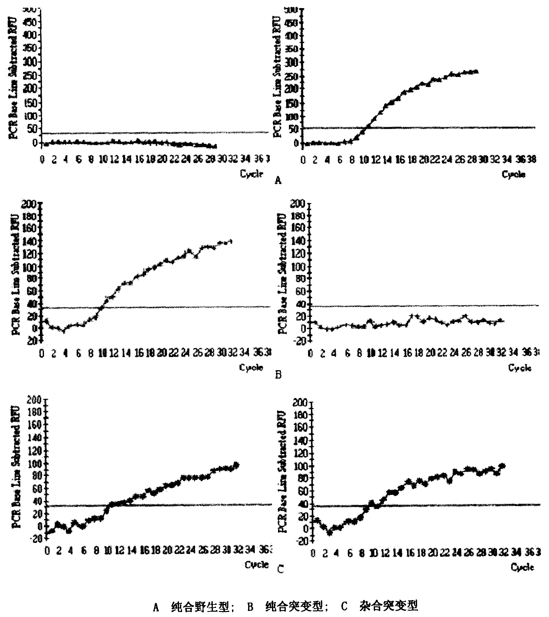 Human nucleotide repair protein gene main polymorphism site fast detection method and kit thereof