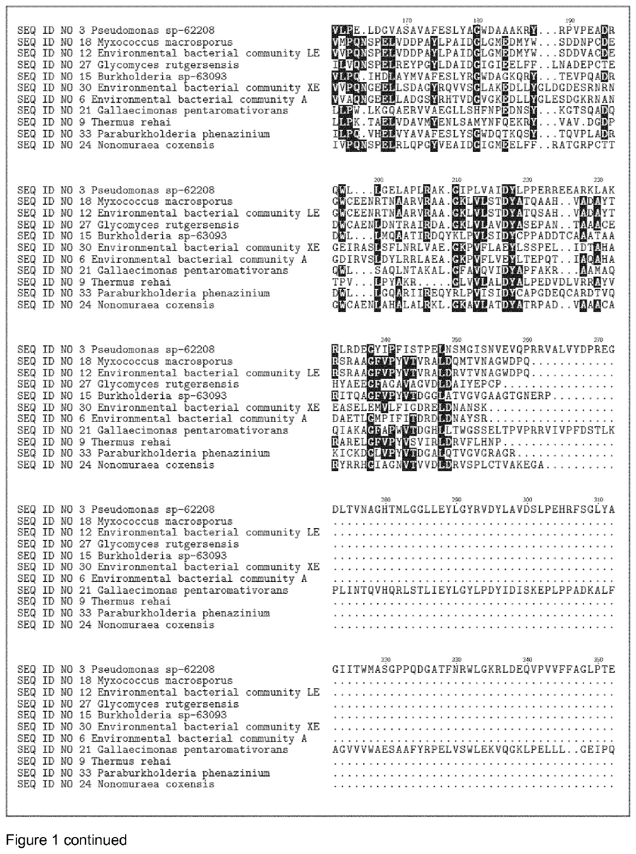 Glycosyl Hydrolases