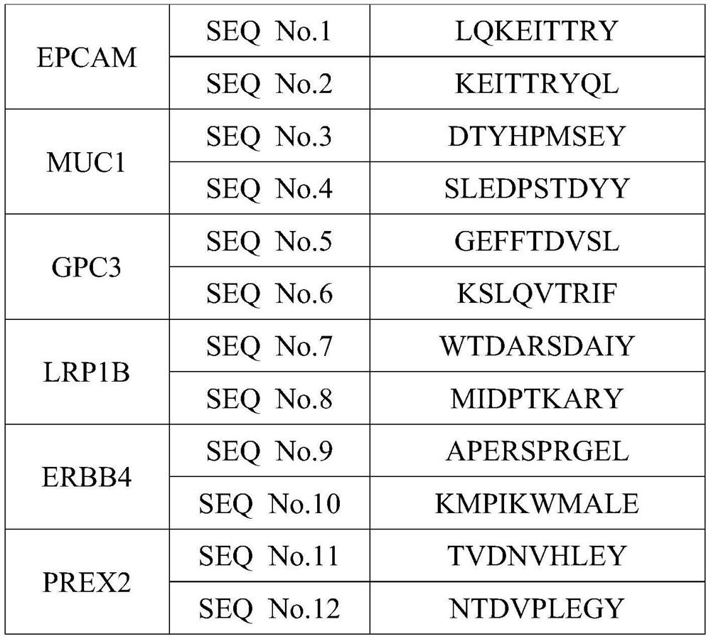 Antigen peptide related to esophageal cancer driver gene mutation and application thereof