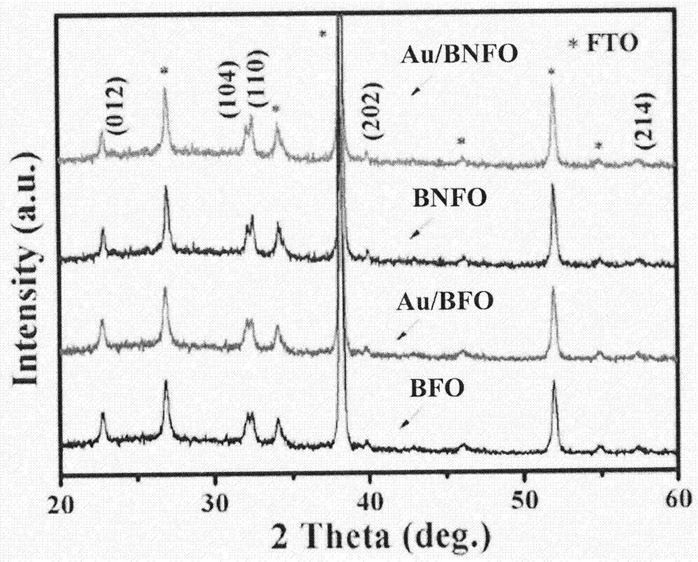 Au nanoparticle modified Nd-doped BiFeO3 film photoelectrode and preparation method thereof