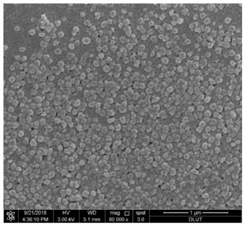 A kind of preparation method of hierarchical porous zsm-5 nano-aggregate