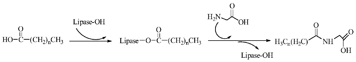 A kind of preparation method of lipoamino acid compound based on deep eutectic solvent