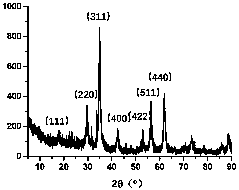 Preparation method of detection probe for alpha-synuclein accumulation as well as product and application of detection probe