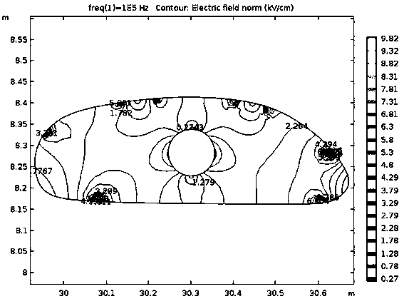 Pulsed electric field based quick curing device and method of dry-cured ham