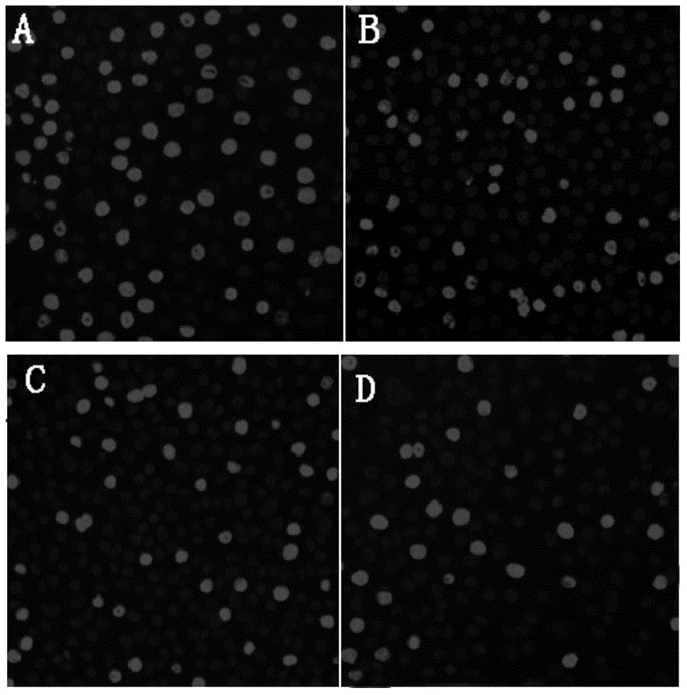 Extraction method and application of anti-tumor traditional Chinese medicine extract