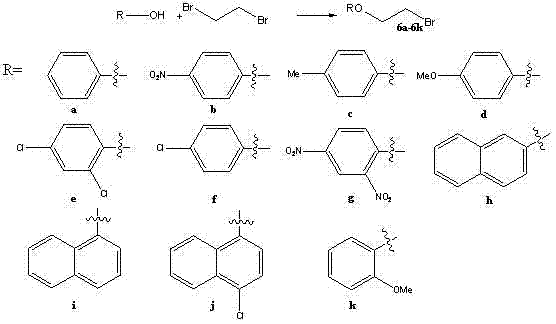 Holarrhine alkaloid derivative and application of holarrhine alkaloid derivative