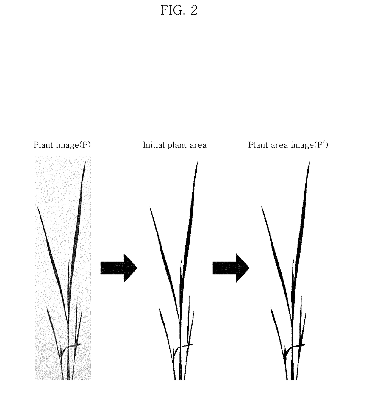 System and method for plant leaf identification