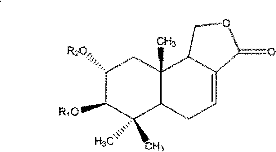 2, 3-dihydroxy cinnamomum lactone derivative and application thereof