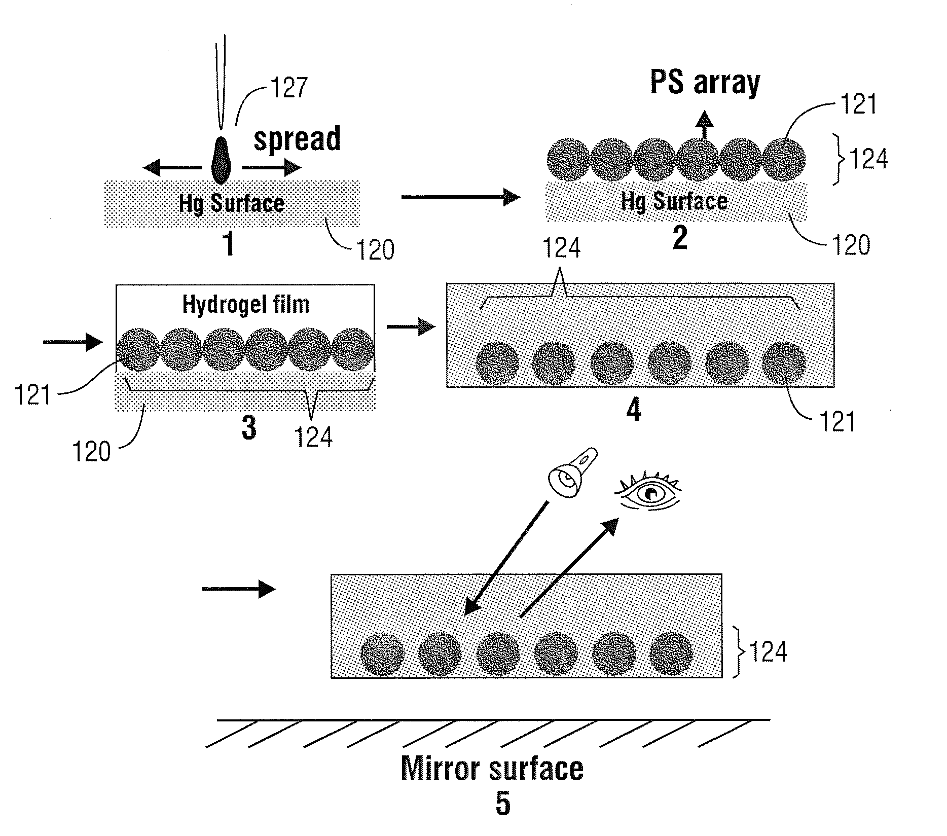 Methods for making and compositions of two dimensional particle arrays