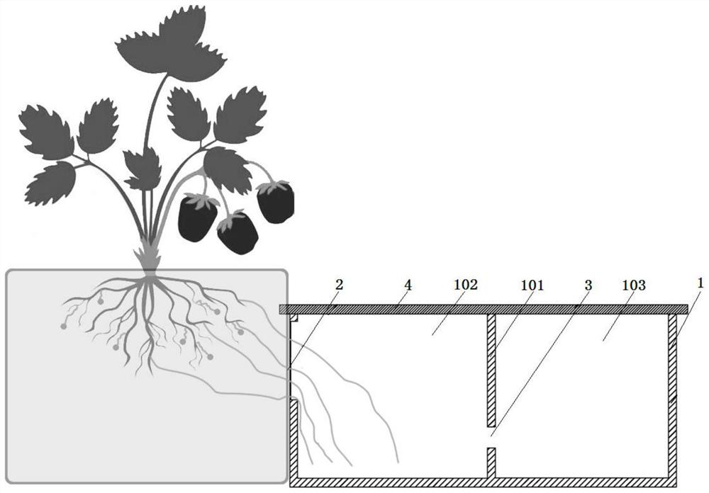 Application device and method for arbuscular mycorrhizal fungi capable of recycling fertilizer