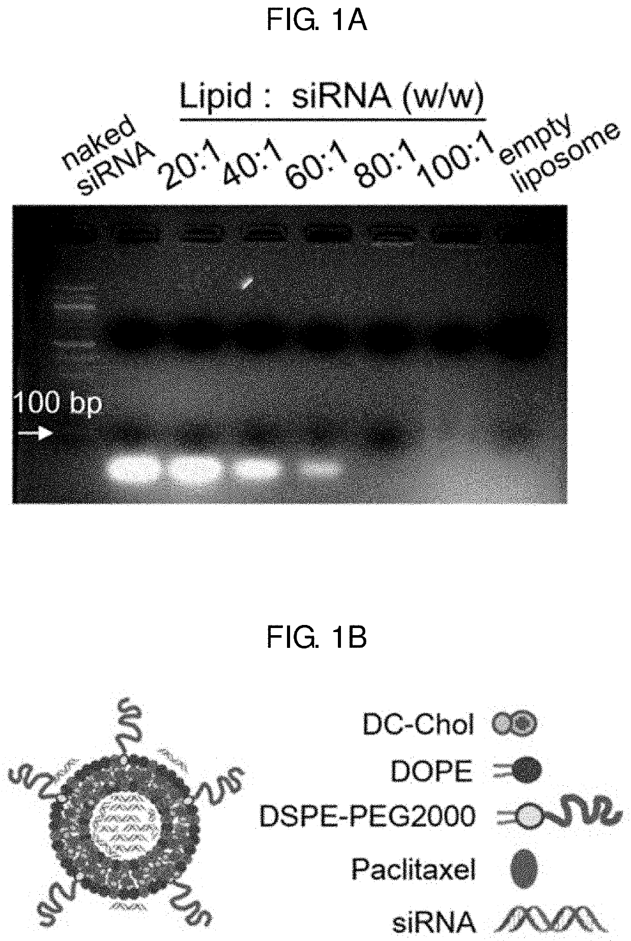 Pharmaceutical composition for preventing or treating cancer comprising ksp inhibitor and mitosis inhibitor