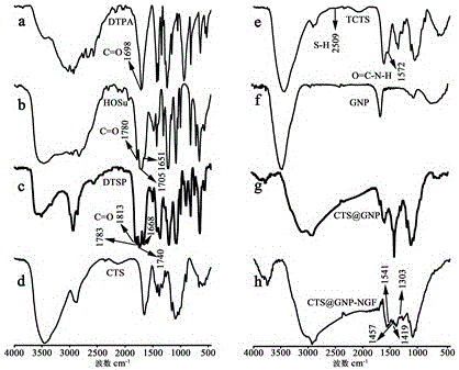 A kind of gold nanoparticle complex with the effect of inhibiting nerve cell apoptosis and its application