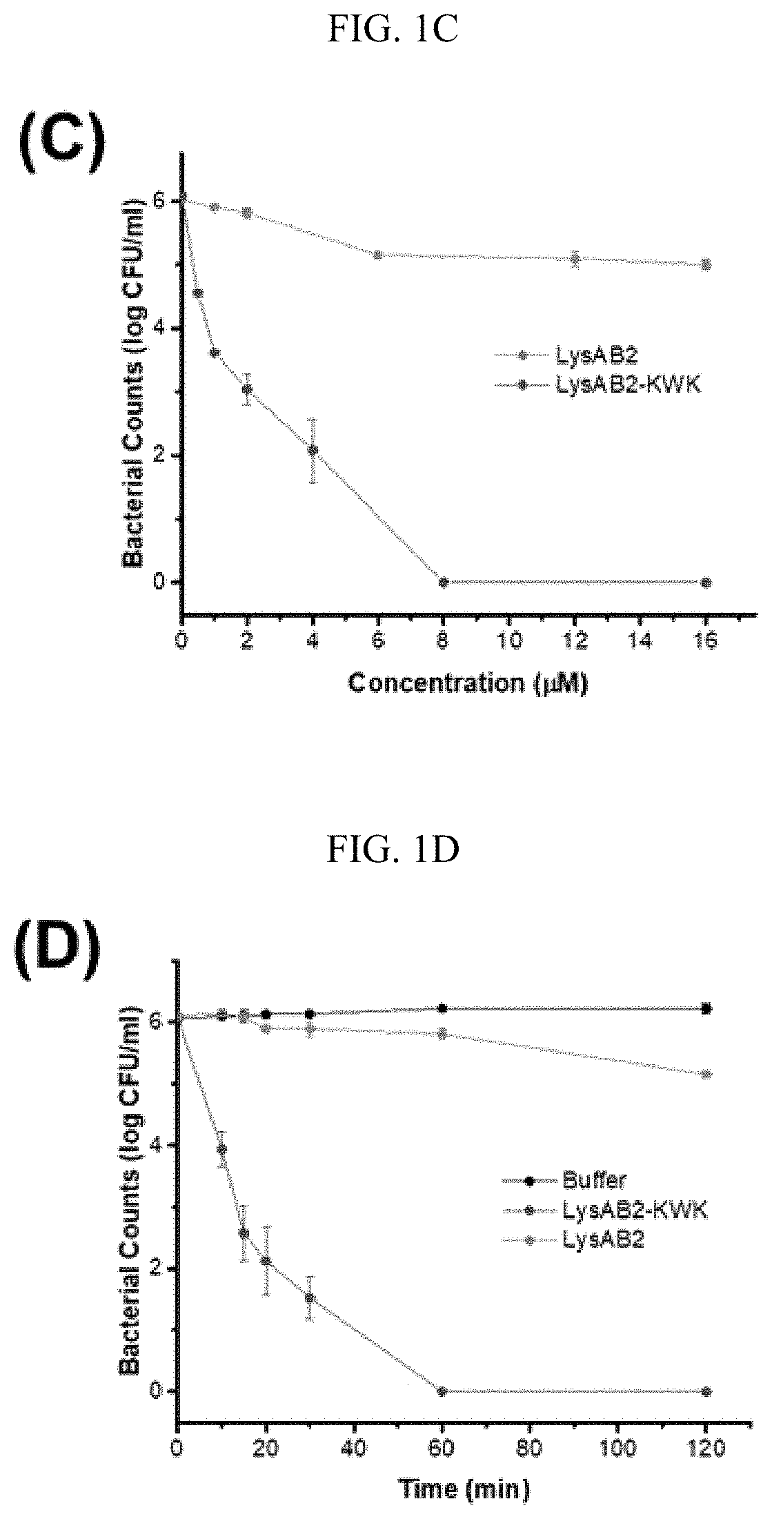 Engineered globular endolysin, a highly potent antibacterial enzyme for multidrug resistant gram-negative bacteria