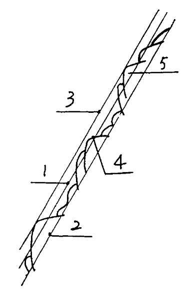 Ecological restoration method of bare rock engineering wound-surface vegetation