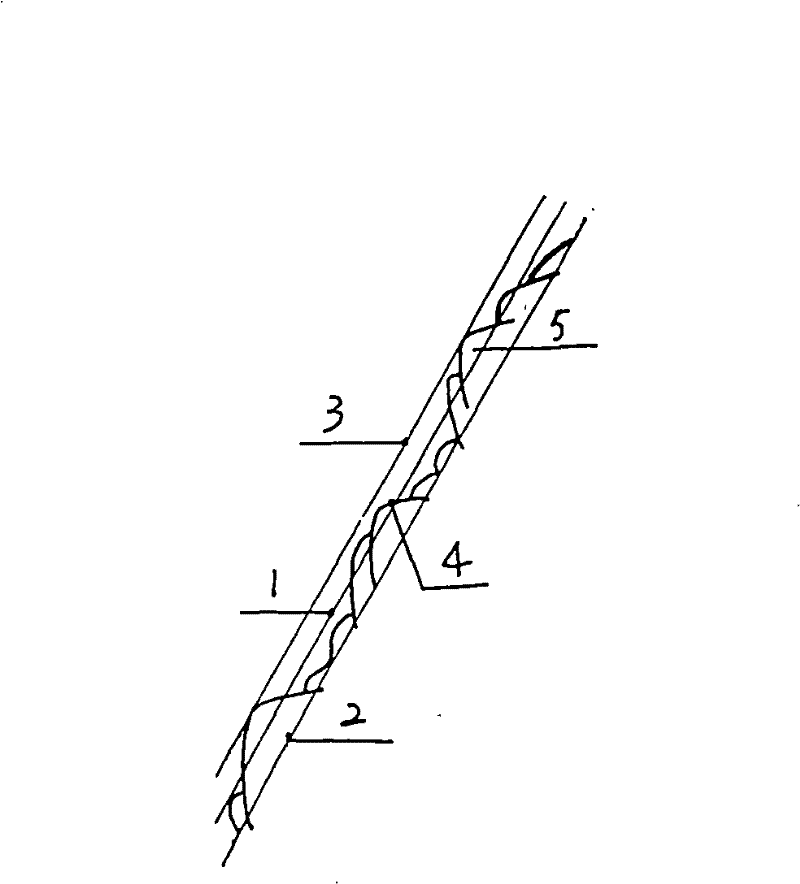 Ecological restoration method of bare rock engineering wound-surface vegetation