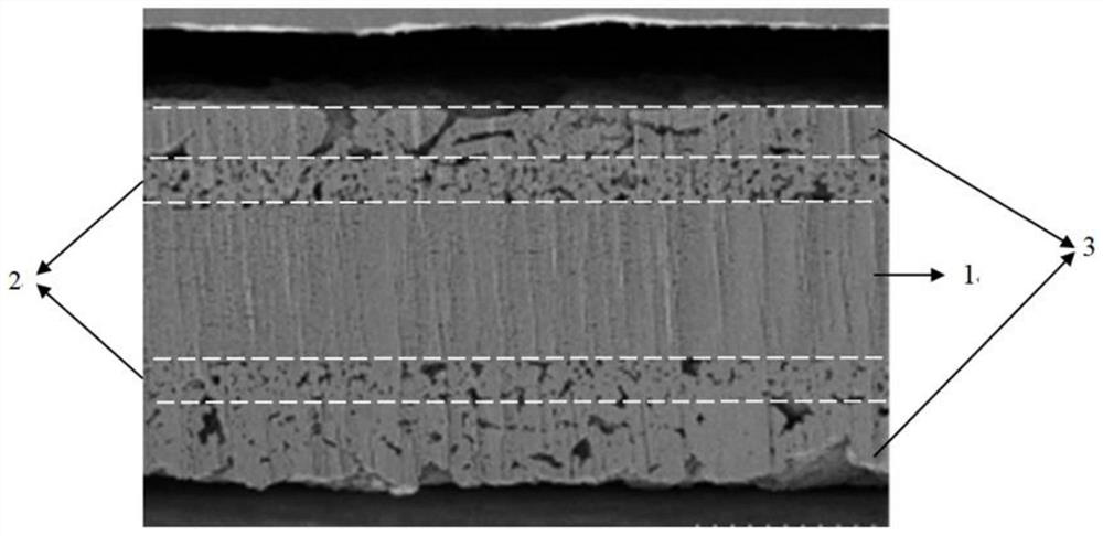 Diaphragm of lithium ion battery, and preparation method and application thereof