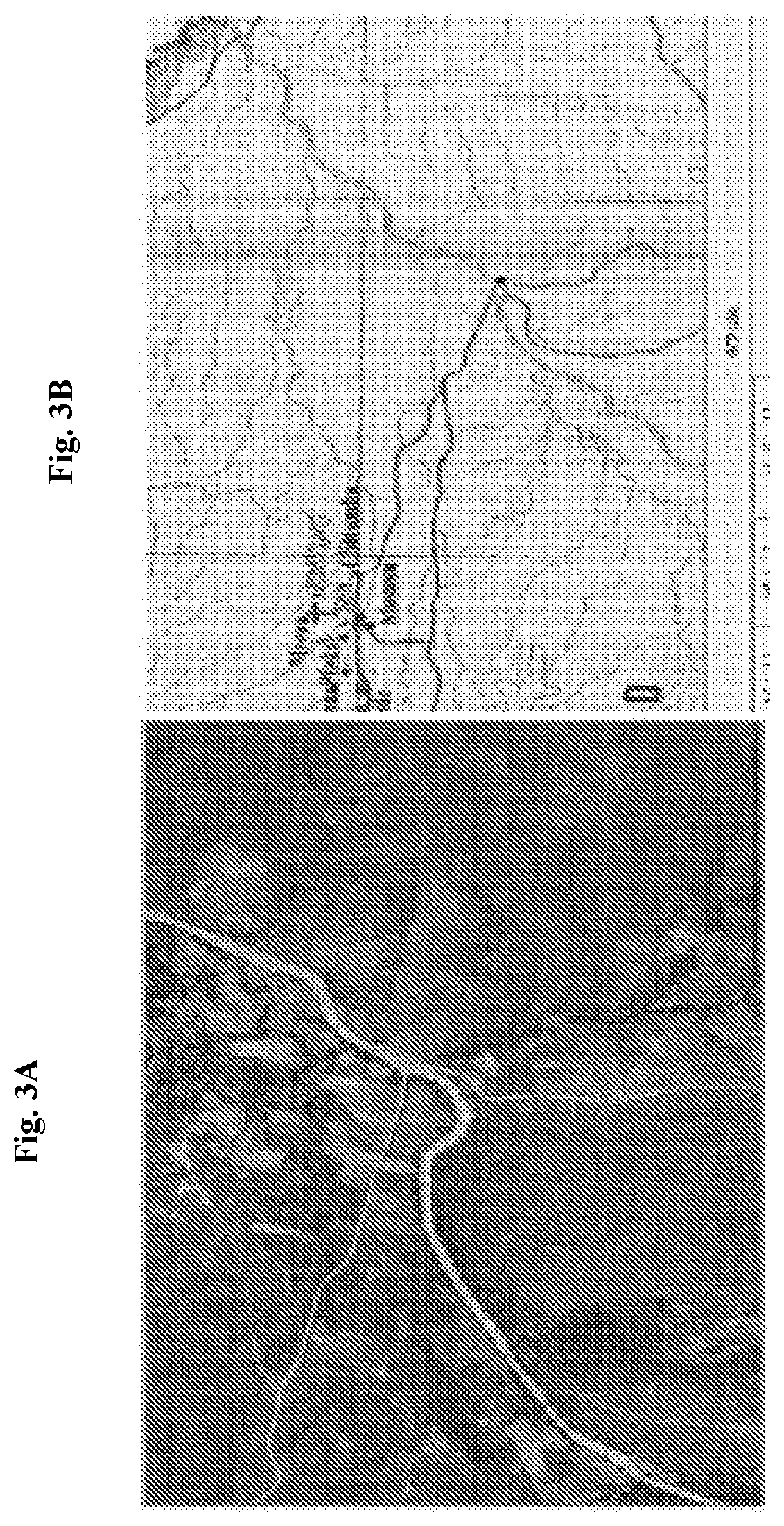System and method for identifying and assessing topographical features using satellite data