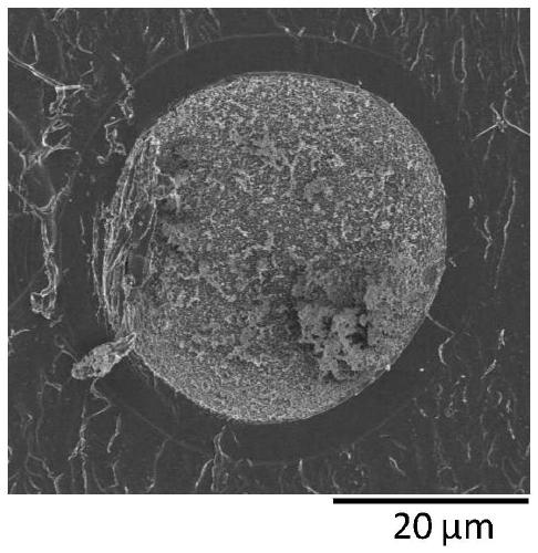 Hyperphosphatemia treatment agent