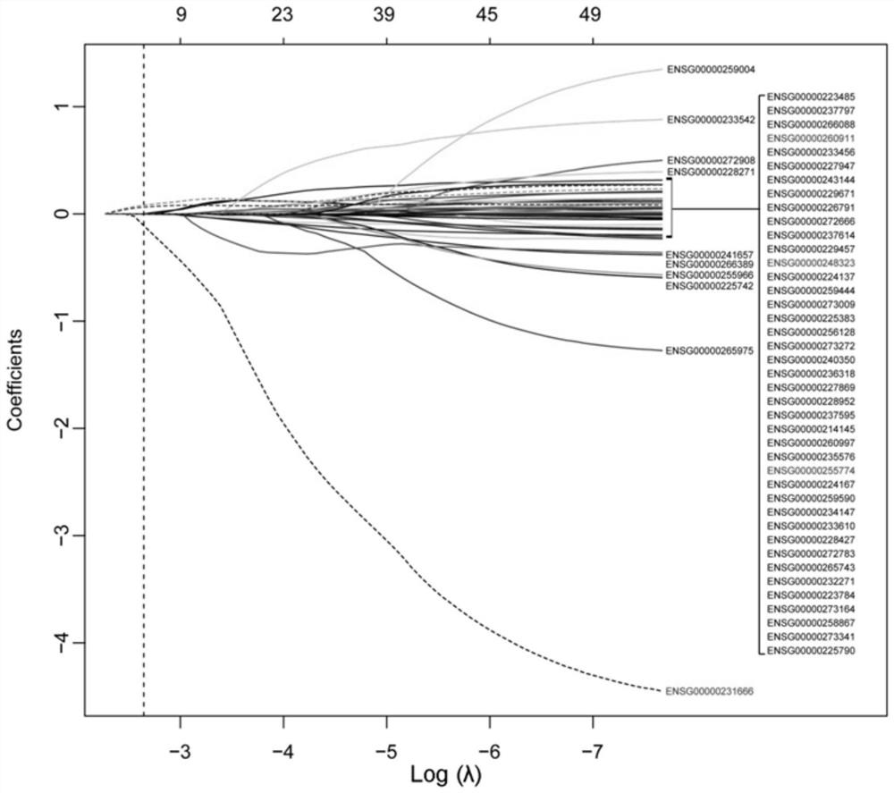 Application of lncRNA combination in the preparation of products for predicting the prognosis of renal clear cell carcinoma and the sensitivity of molecular targeted drug therapy