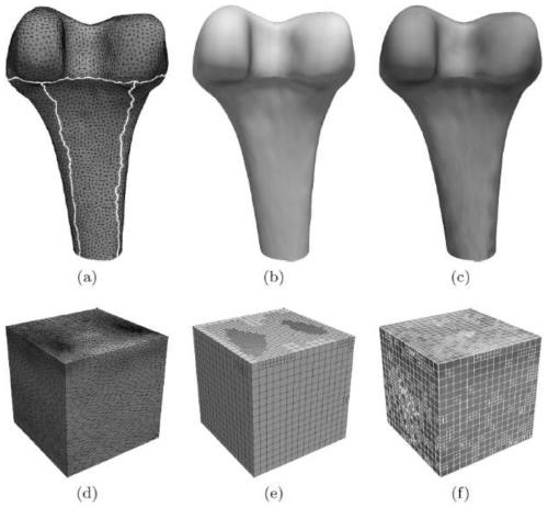 Heterogeneous material entity modeling method based on three-dimensional T spline