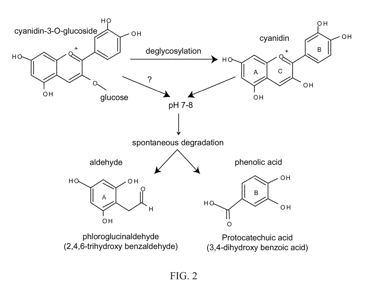 Antimicrobials and methods of use thereof