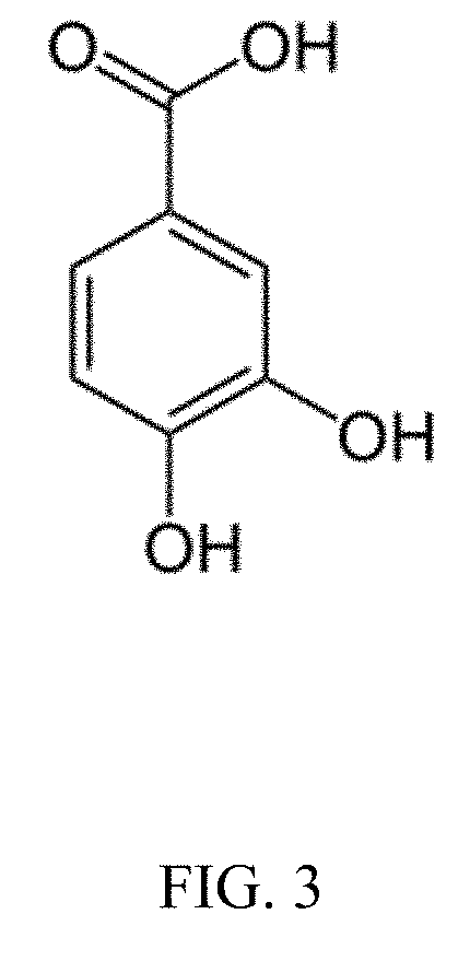 Antimicrobials and methods of use thereof