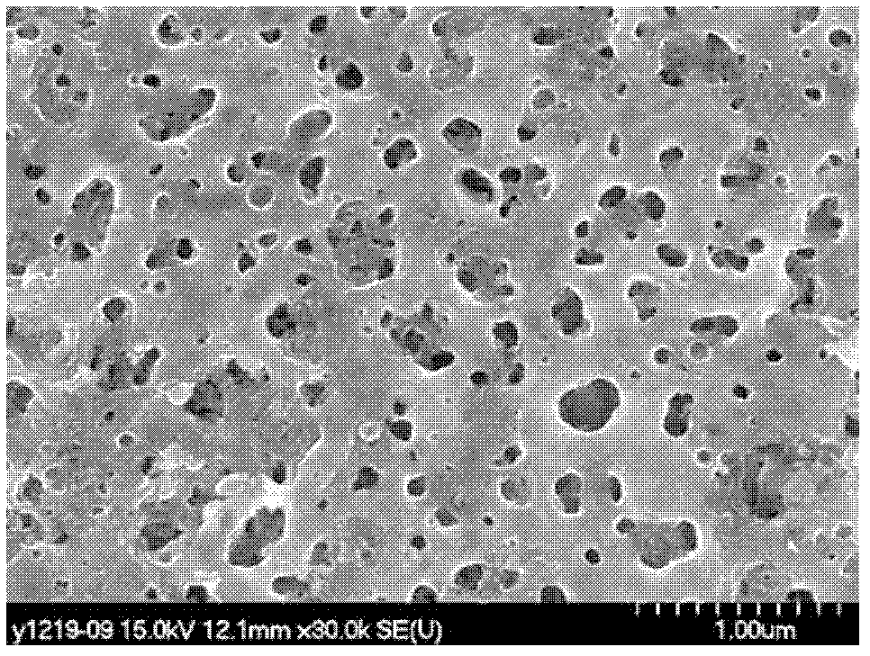 Method for preparing biologically active titanium dioxide film on NiTi alloy surface