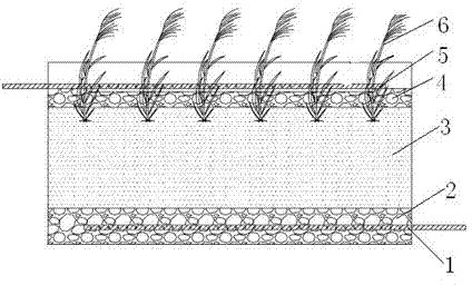 Artificial wetland composite matrix for nitrogen and phosphorus removal of rural sewage and preparation method thereof