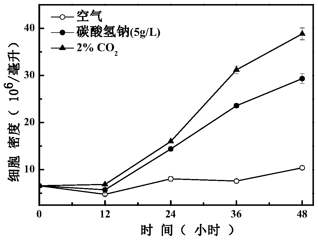 Isochrysis zhanjiangensis culture medium and large-scale culture method thereof in floating type photobioreactor