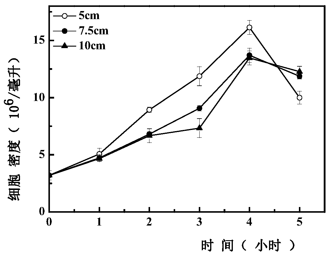 Isochrysis zhanjiangensis culture medium and large-scale culture method thereof in floating type photobioreactor