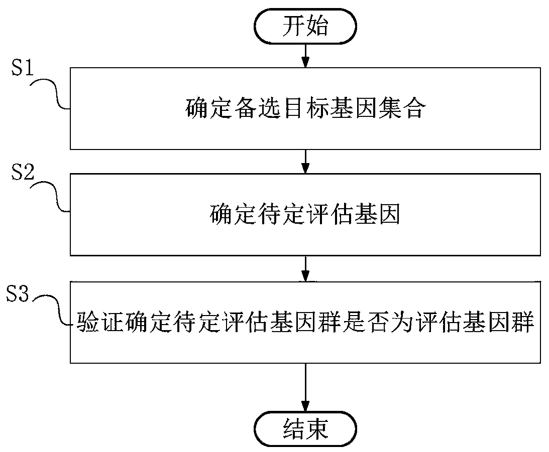 Evaluation gene group and corresponding kit for prognosis prediction of gastric cancer