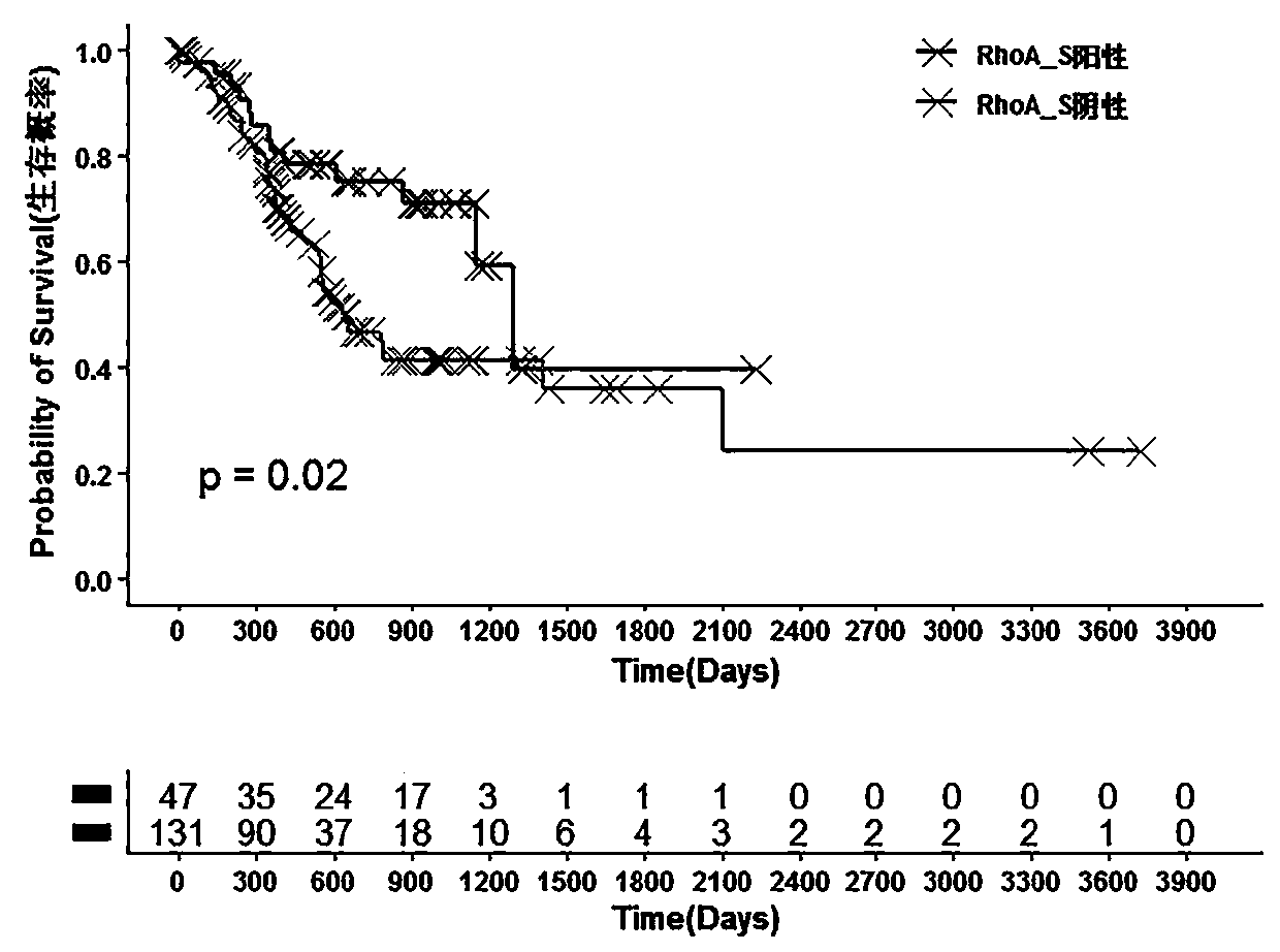 Evaluation gene group and corresponding kit for prognosis prediction of gastric cancer