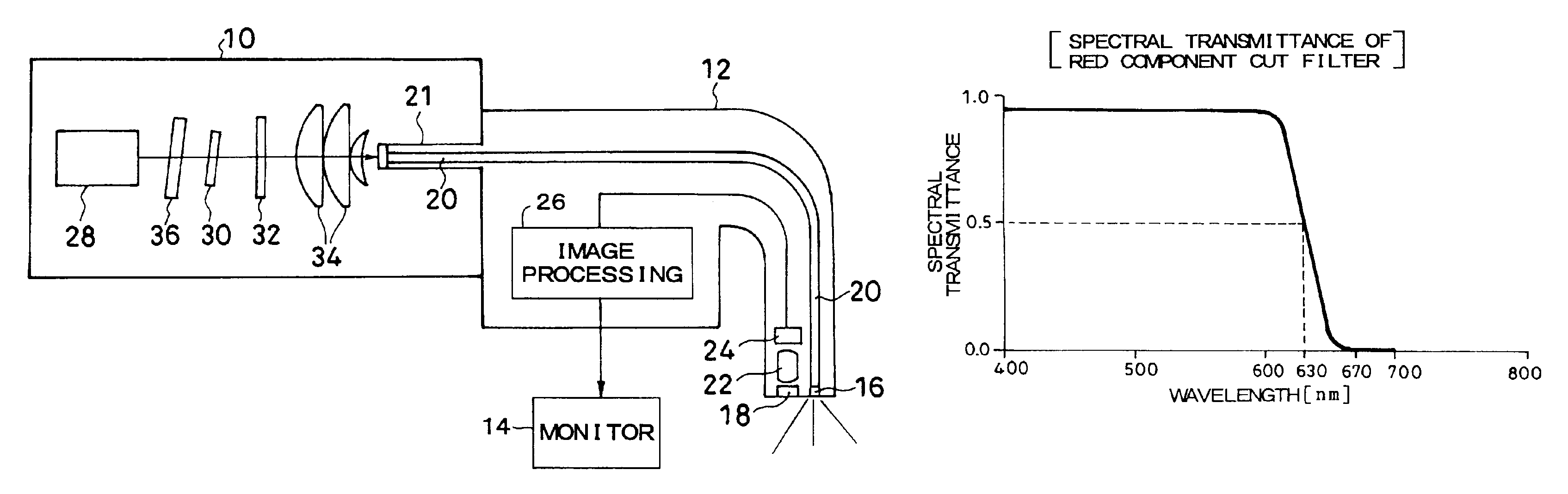 Endoscope having red component cut filter