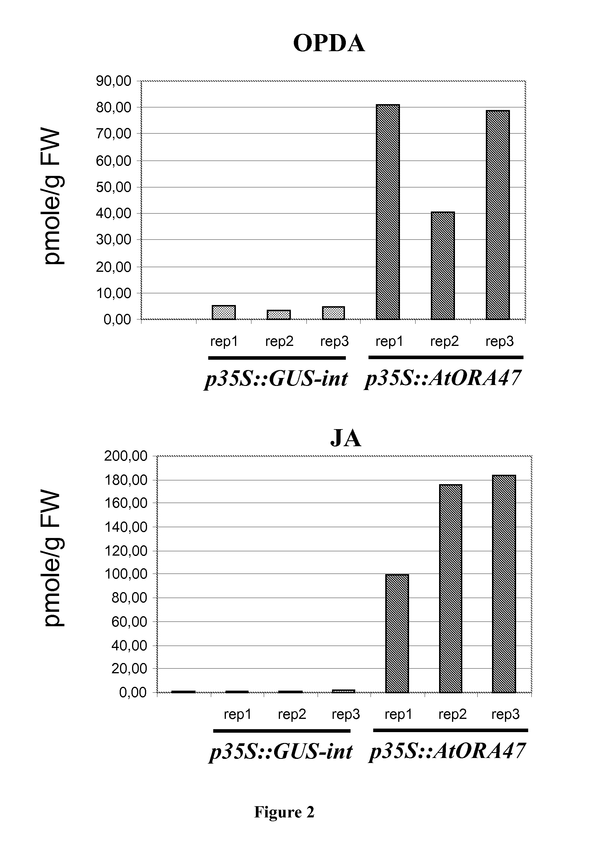 Overproduction of jasmonic acid in transgenic plants