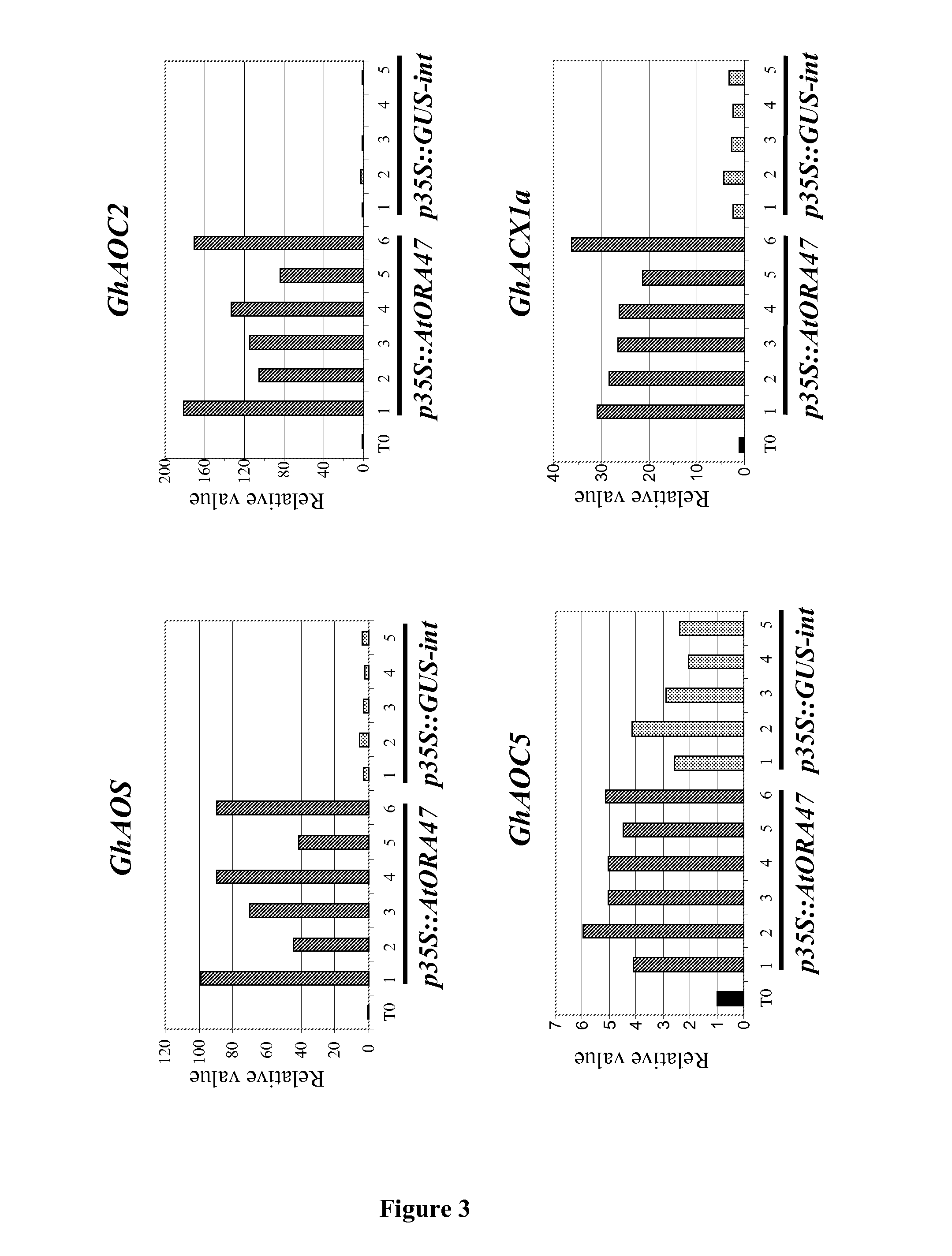 Overproduction of jasmonic acid in transgenic plants