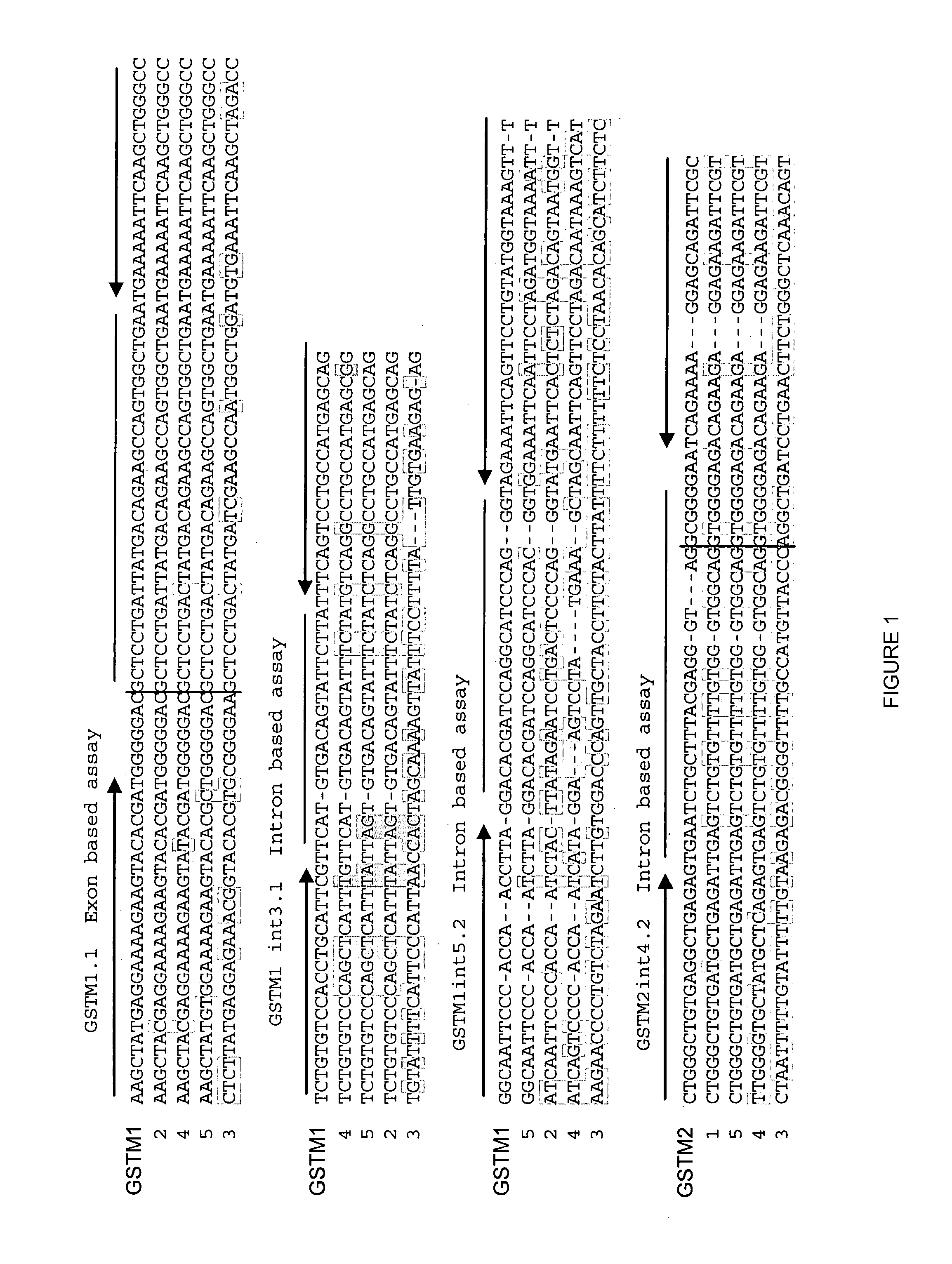 Genes involved in estrogen metabolism