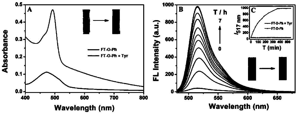 Compounds for detecting tyrosinase as well as preparation method and application of compounds