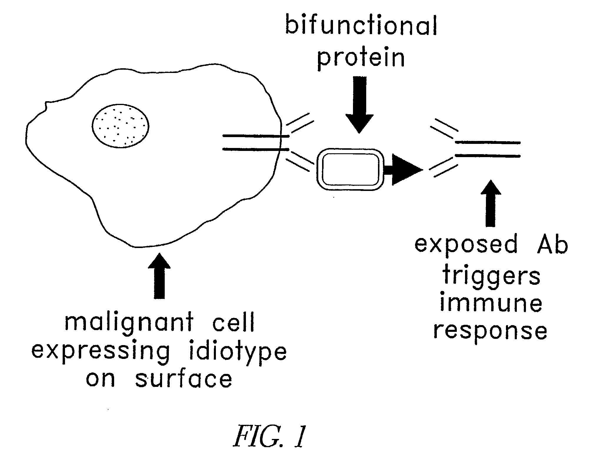 Method for Making Targeted Therapeutic Agents