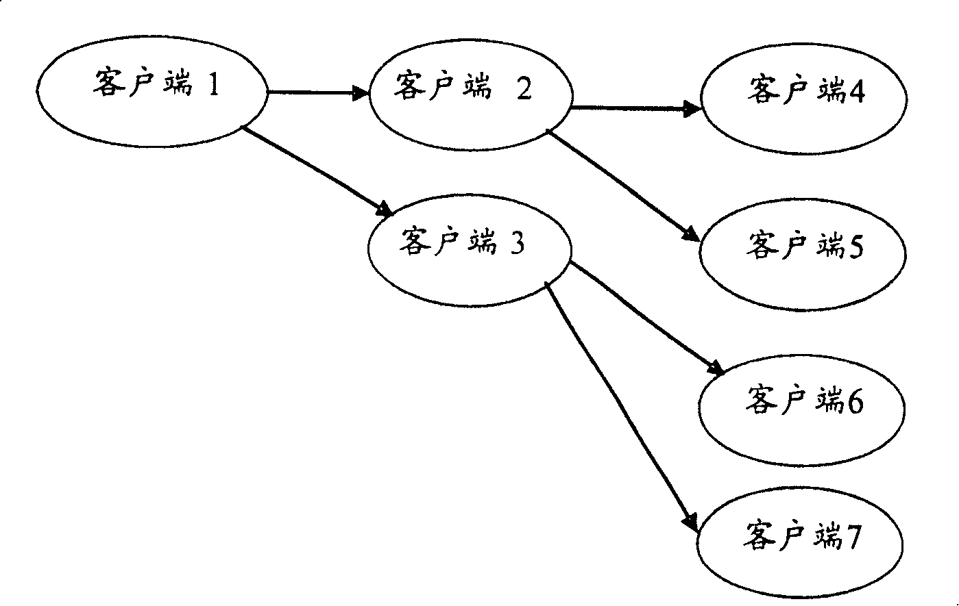 Network searching system and realizing method therefor